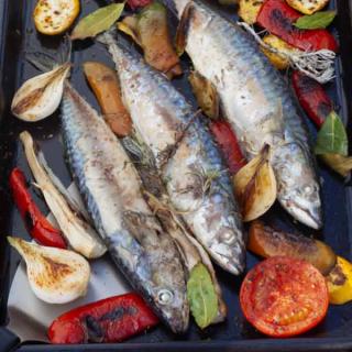 Mackerel grilled a la plancha Mackerel grilled a la plancha