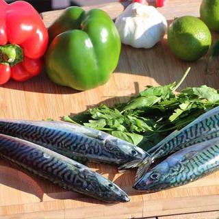Mackerel a la plancha Mackerel a la plancha