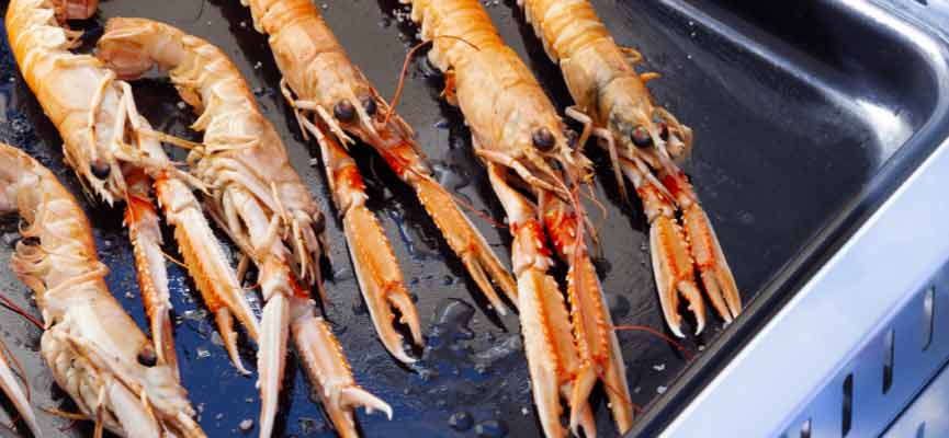 Griddled langoustines Griddled langoustines