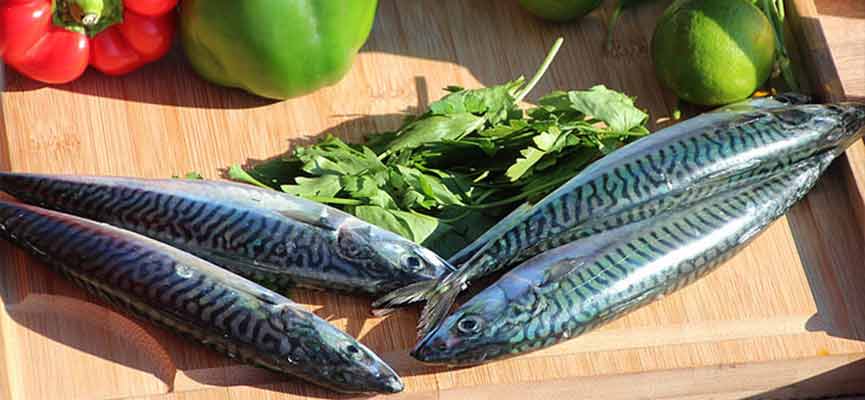 Mackerel a la plancha Mackerel a la plancha