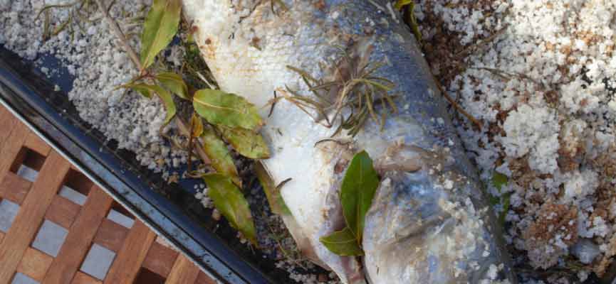 Griddled seabass with coarse salt