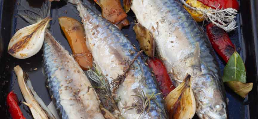 Mackerel grilled a la plancha